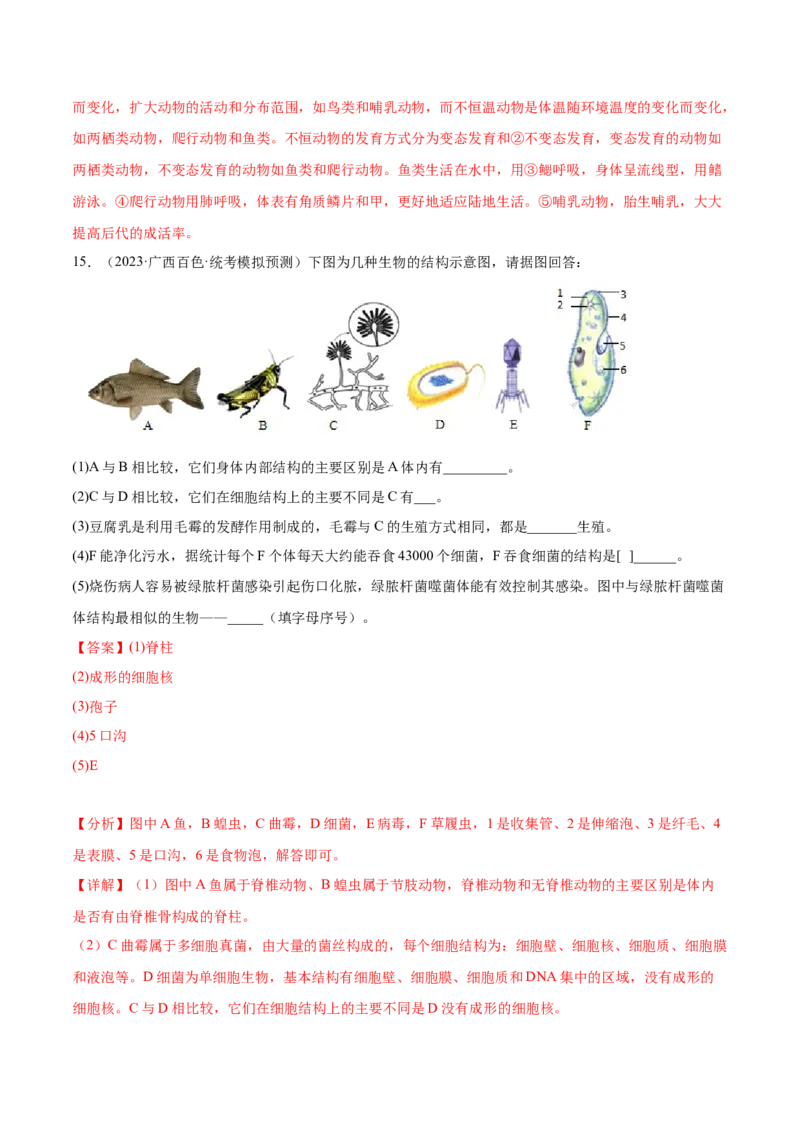 主题02生物的多样性（解析版）_6生物中考复习_2023年中考复习资料_二轮复习_2023年中考生物二轮复习讲练测_主题02生物的多样性（测试）-2023年中考生物二轮复习讲练测_38838137