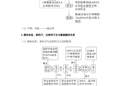 考点20基因的表达（解析版）_通用版（老高考）复习资料_2023年复习资料_一轮复习_2023年高考生物一轮复习讲练测（全国通用）
