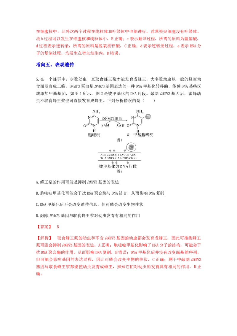 考点20基因的表达（解析版）_通用版（老高考）复习资料_2023年复习资料_一轮复习_2023年高考生物一轮复习讲练测（全国通用）