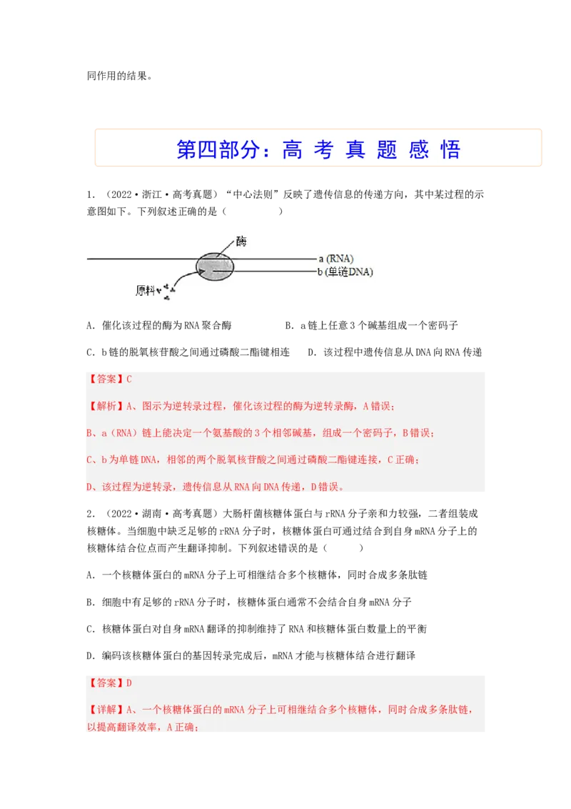 考点20基因的表达（解析版）_通用版（老高考）复习资料_2023年复习资料_一轮复习_2023年高考生物一轮复习讲练测（全国通用）