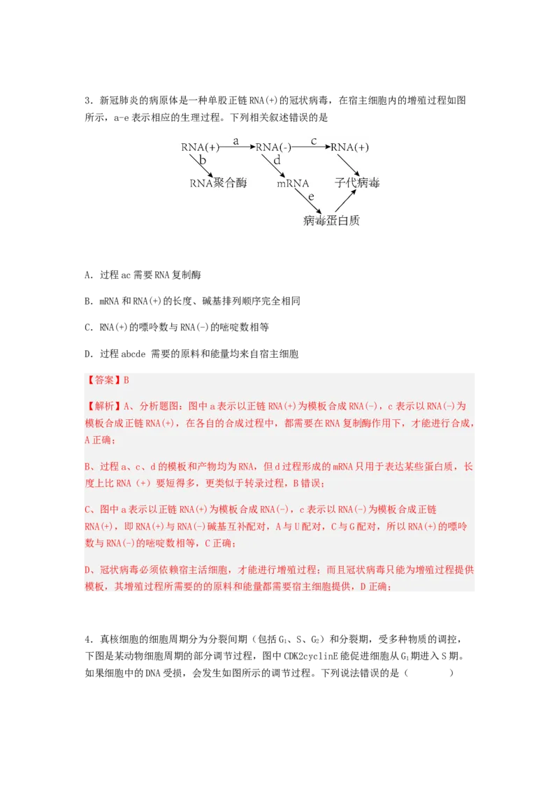 考点20基因的表达（解析版）_通用版（老高考）复习资料_2023年复习资料_一轮复习_2023年高考生物一轮复习讲练测（全国通用）