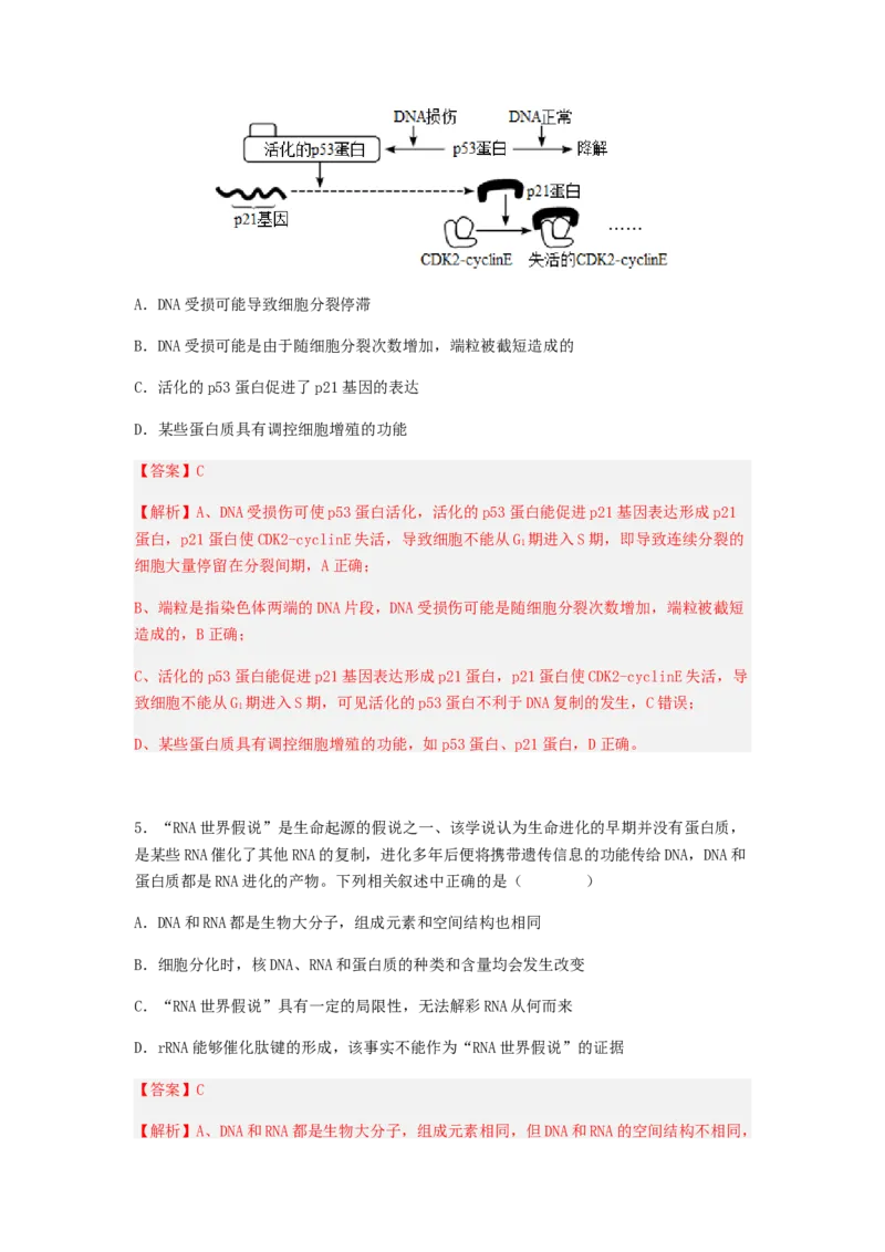 考点20基因的表达（解析版）_通用版（老高考）复习资料_2023年复习资料_一轮复习_2023年高考生物一轮复习讲练测（全国通用）