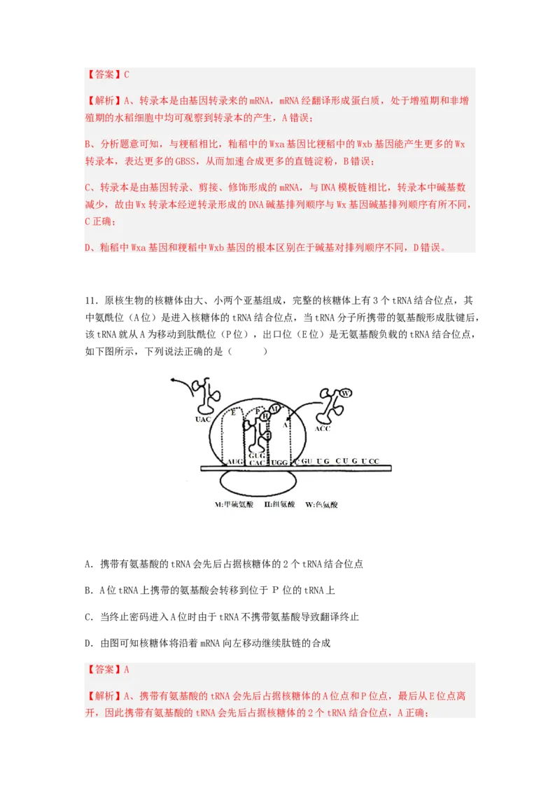 考点20基因的表达（解析版）_通用版（老高考）复习资料_2023年复习资料_一轮复习_2023年高考生物一轮复习讲练测（全国通用）