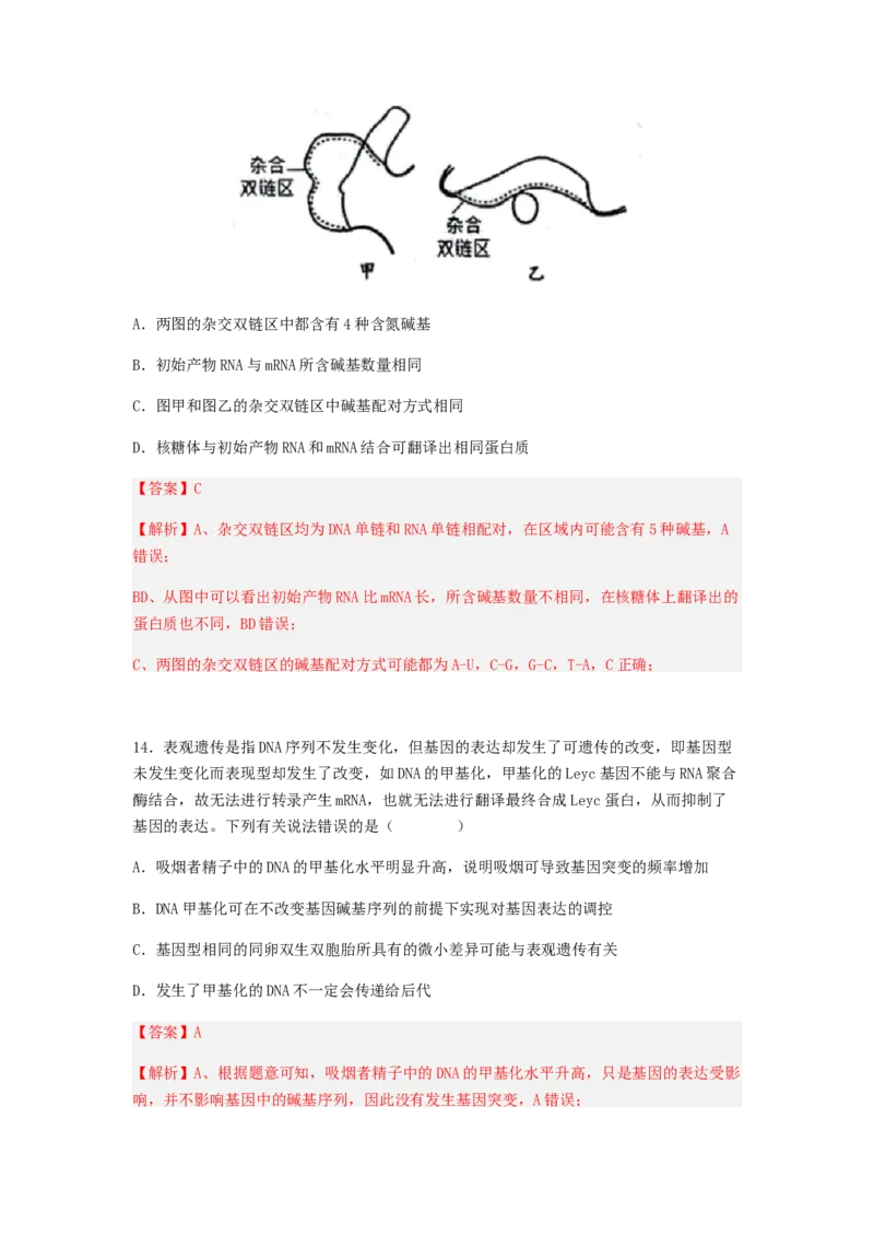 考点20基因的表达（解析版）_通用版（老高考）复习资料_2023年复习资料_一轮复习_2023年高考生物一轮复习讲练测（全国通用）