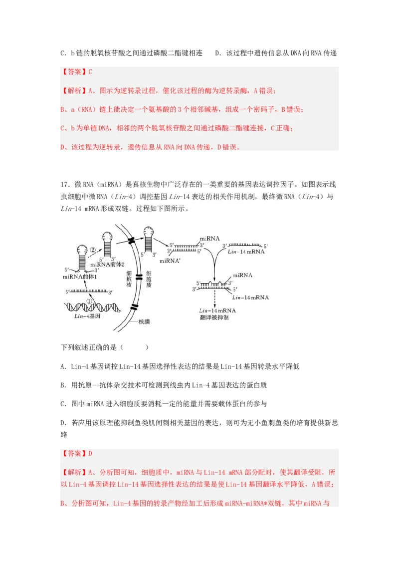 考点20基因的表达（解析版）_通用版（老高考）复习资料_2023年复习资料_一轮复习_2023年高考生物一轮复习讲练测（全国通用）