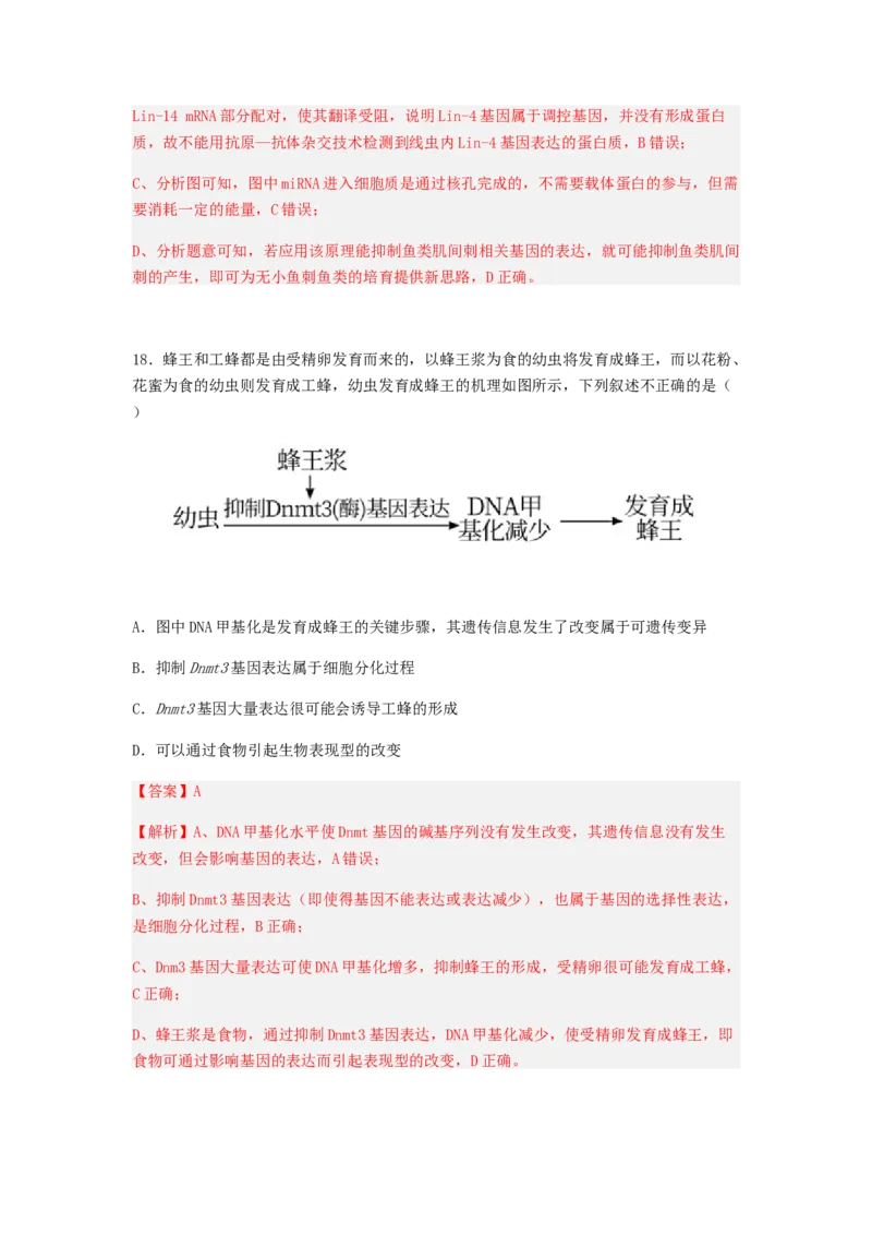 考点20基因的表达（解析版）_通用版（老高考）复习资料_2023年复习资料_一轮复习_2023年高考生物一轮复习讲练测（全国通用）