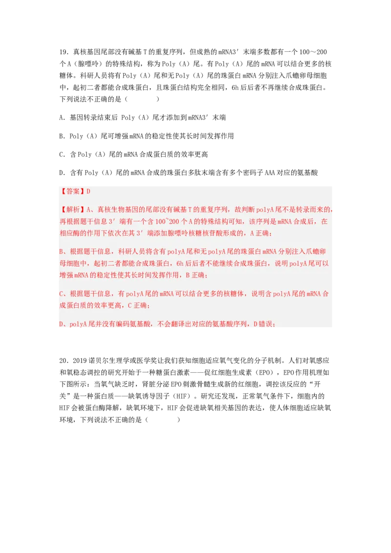 考点20基因的表达（解析版）_通用版（老高考）复习资料_2023年复习资料_一轮复习_2023年高考生物一轮复习讲练测（全国通用）