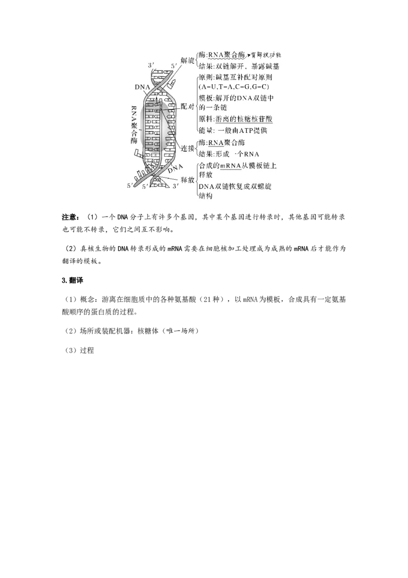 考点20基因的表达（解析版）_通用版（老高考）复习资料_2023年复习资料_一轮复习_2023年高考生物一轮复习讲练测（全国通用）