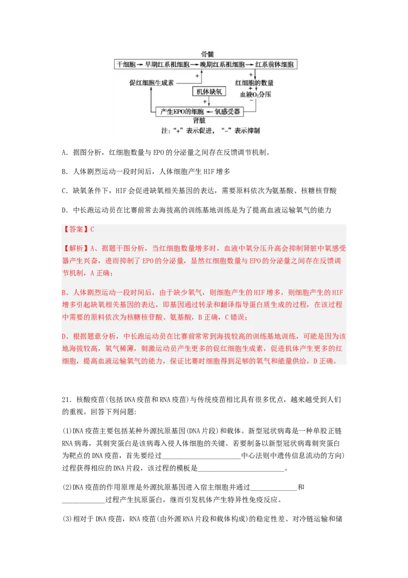 考点20基因的表达（解析版）_通用版（老高考）复习资料_2023年复习资料_一轮复习_2023年高考生物一轮复习讲练测（全国通用）