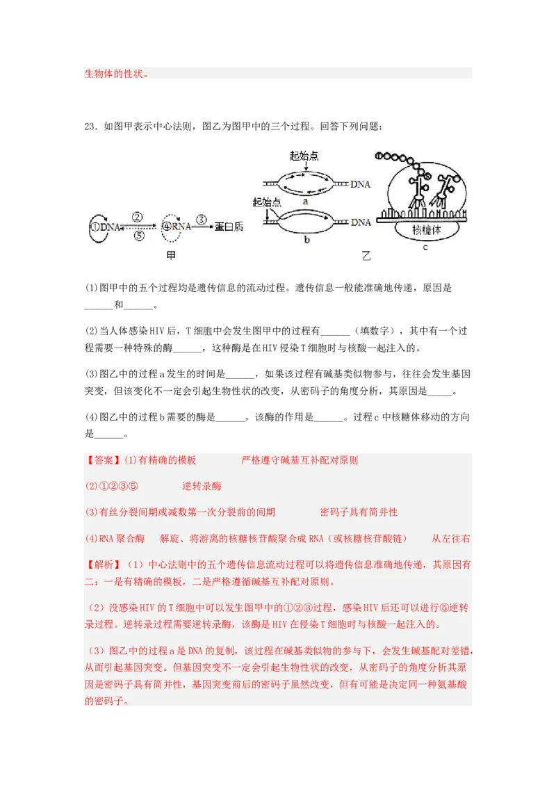 考点20基因的表达（解析版）_通用版（老高考）复习资料_2023年复习资料_一轮复习_2023年高考生物一轮复习讲练测（全国通用）