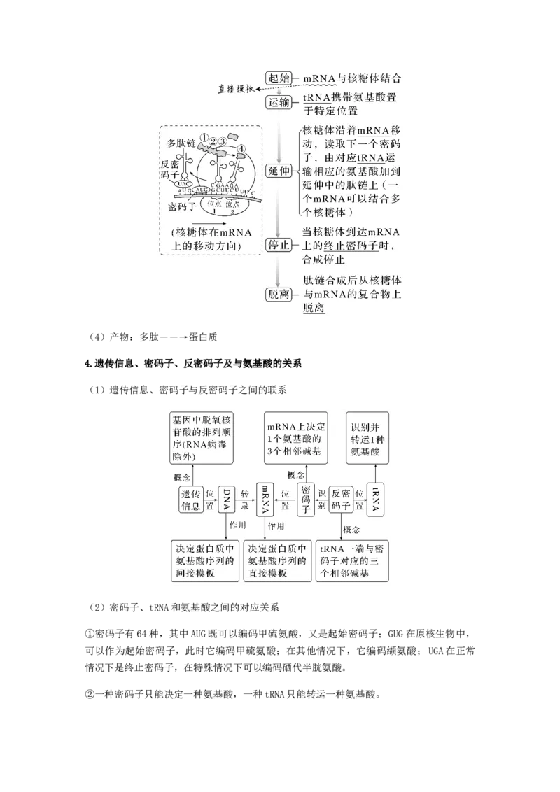 考点20基因的表达（解析版）_通用版（老高考）复习资料_2023年复习资料_一轮复习_2023年高考生物一轮复习讲练测（全国通用）