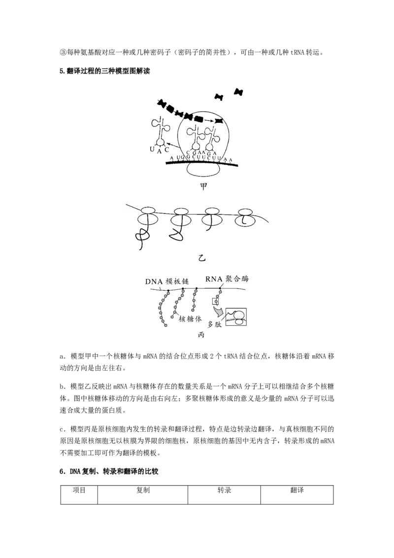 考点20基因的表达（解析版）_通用版（老高考）复习资料_2023年复习资料_一轮复习_2023年高考生物一轮复习讲练测（全国通用）