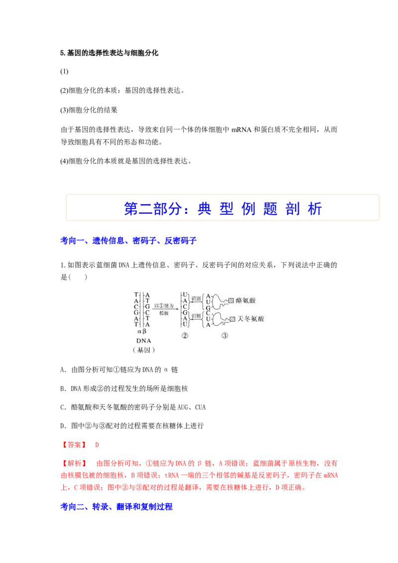 考点20基因的表达（解析版）_通用版（老高考）复习资料_2023年复习资料_一轮复习_2023年高考生物一轮复习讲练测（全国通用）