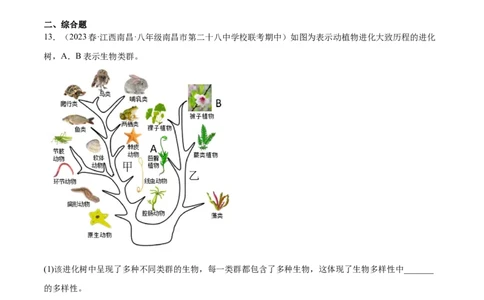 主题02生物的多样性（原卷版）_6生物中考复习_2023年中考复习资料_二轮复习_2023年中考生物二轮复习讲练测_主题02生物的多样性（测试）-2023年中考生物二轮复习讲练测_38838137