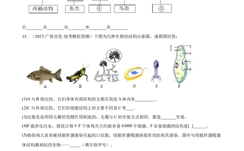 主题02生物的多样性（原卷版）_6生物中考复习_2023年中考复习资料_二轮复习_2023年中考生物二轮复习讲练测_主题02生物的多样性（测试）-2023年中考生物二轮复习讲练测_38838137