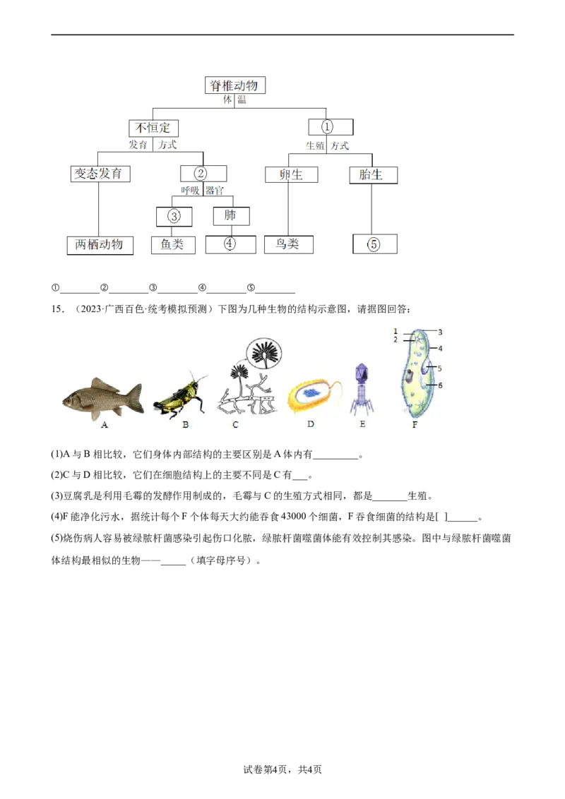主题02生物的多样性（原卷版）_6生物中考复习_2023年中考复习资料_二轮复习_2023年中考生物二轮复习讲练测_主题02生物的多样性（测试）-2023年中考生物二轮复习讲练测_38838137