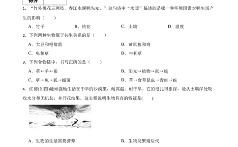人教版2023届中考一轮复习专用训练卷&mdash;专题2了解生物圈（含答案）_6生物中考复习_2023年中考复习资料_一轮复习_人教版2023届中考生物一轮复习专用训练卷
