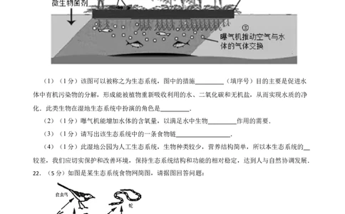 人教版2023届中考一轮复习专用训练卷&mdash;专题2了解生物圈（含答案）_6生物中考复习_2023年中考复习资料_一轮复习_人教版2023届中考生物一轮复习专用训练卷