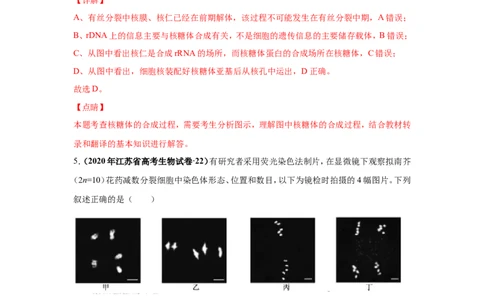 考点精讲7细胞的生命历程（作业）_新高考复习资料_2022年新高考复习资料_2022届一轮复习讲练结合7.13更新_系列二_考点精讲7细胞的生命历程