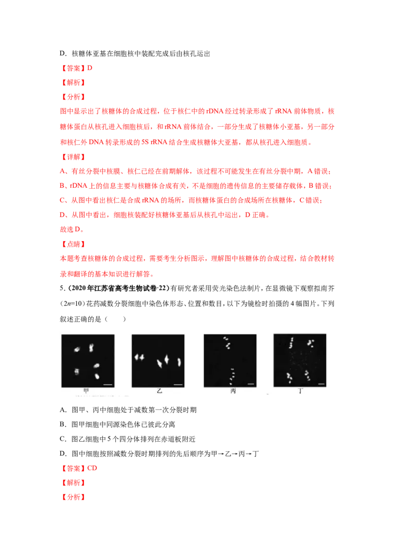 考点精讲7细胞的生命历程（作业）_新高考复习资料_2022年新高考复习资料_2022届一轮复习讲练结合7.13更新_系列二_考点精讲7细胞的生命历程