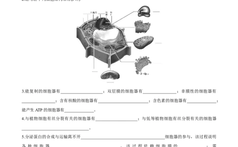 考点通关卷06细胞器和生物膜系统（原卷版）_2025年新高考资料_一轮复习_2025年高考生物一轮复习考点通关卷（新高考通用）