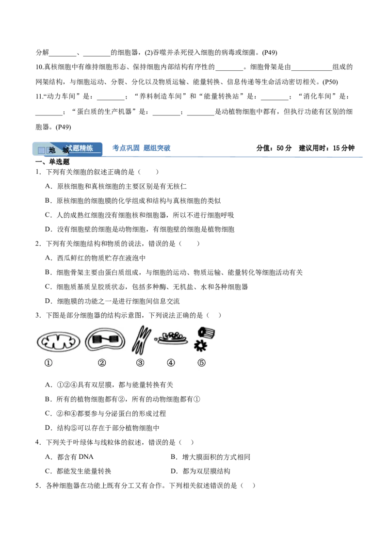 考点通关卷06细胞器和生物膜系统（原卷版）_2025年新高考资料_一轮复习_2025年高考生物一轮复习考点通关卷（新高考通用）