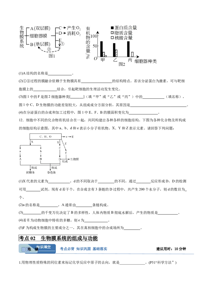 考点通关卷06细胞器和生物膜系统（原卷版）_2025年新高考资料_一轮复习_2025年高考生物一轮复习考点通关卷（新高考通用）