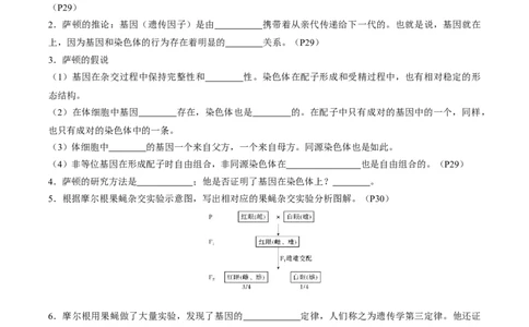 考点通关卷17伴性遗传和人类遗传病（解析版）_2025年新高考资料_一轮复习_2025年高考生物一轮复习考点通关卷（新高考通用）