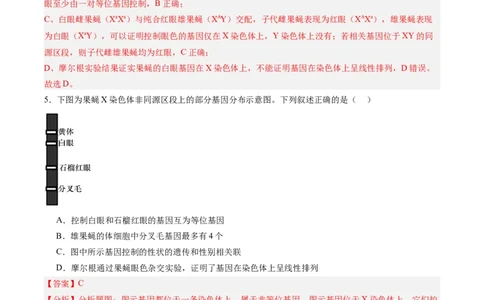 考点通关卷17伴性遗传和人类遗传病（解析版）_2025年新高考资料_一轮复习_2025年高考生物一轮复习考点通关卷（新高考通用）