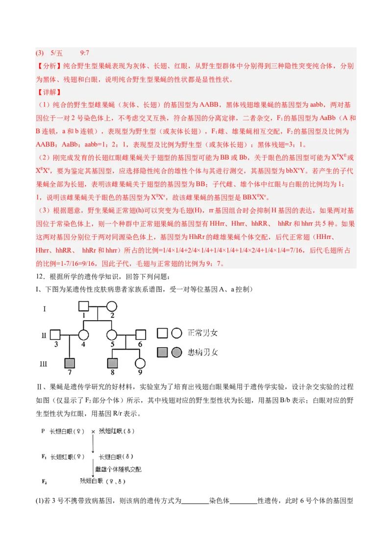 考点通关卷17伴性遗传和人类遗传病（解析版）_2025年新高考资料_一轮复习_2025年高考生物一轮复习考点通关卷（新高考通用）