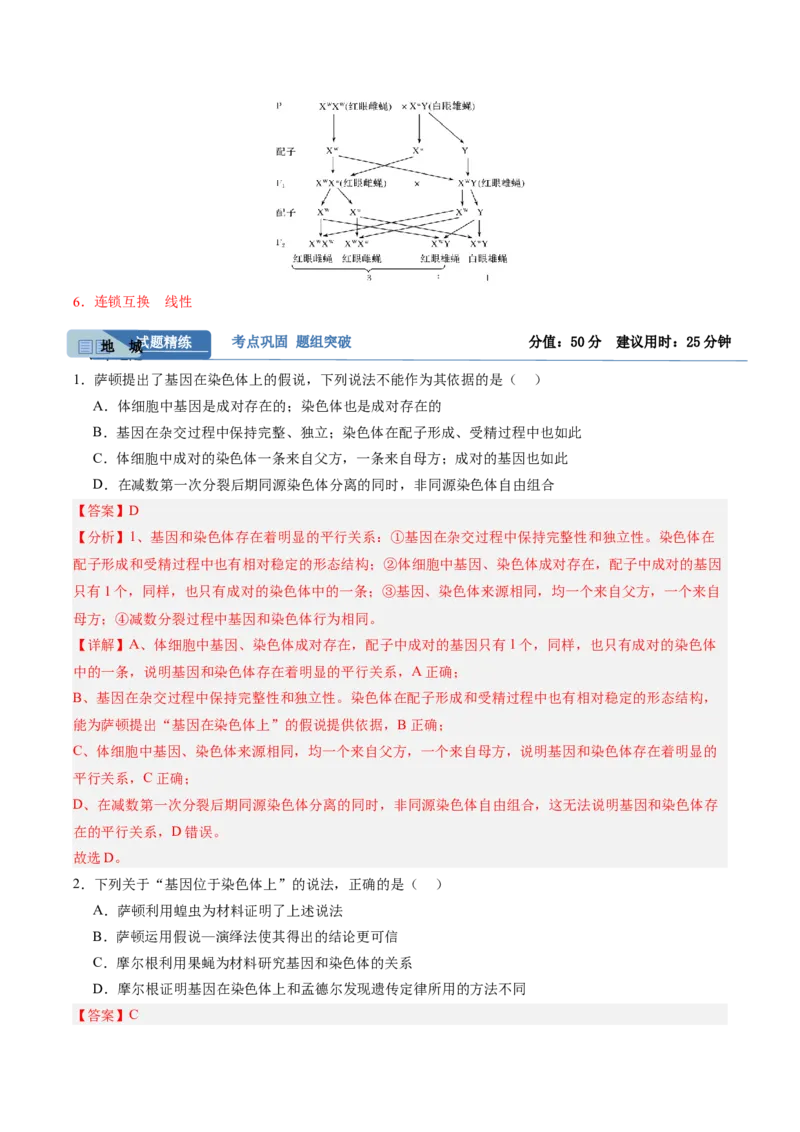 考点通关卷17伴性遗传和人类遗传病（解析版）_2025年新高考资料_一轮复习_2025年高考生物一轮复习考点通关卷（新高考通用）