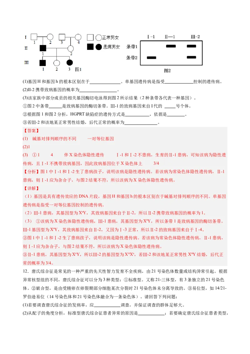 考点通关卷17伴性遗传和人类遗传病（解析版）_2025年新高考资料_一轮复习_2025年高考生物一轮复习考点通关卷（新高考通用）
