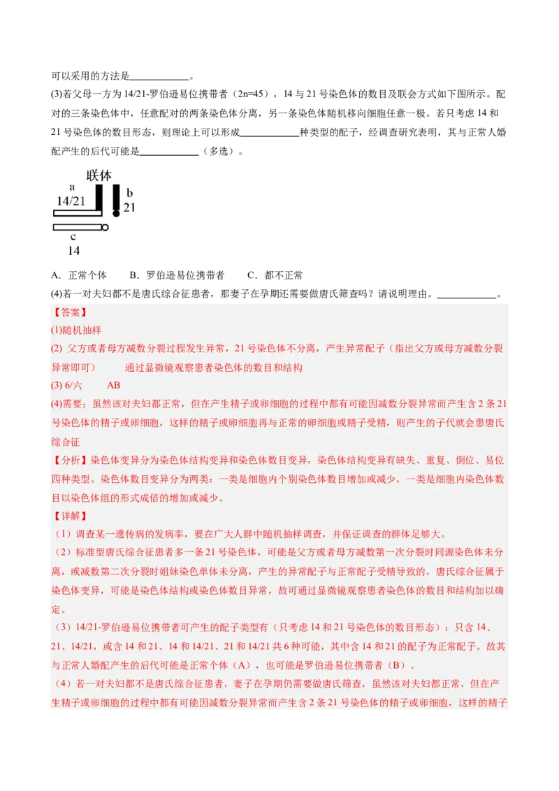 考点通关卷17伴性遗传和人类遗传病（解析版）_2025年新高考资料_一轮复习_2025年高考生物一轮复习考点通关卷（新高考通用）