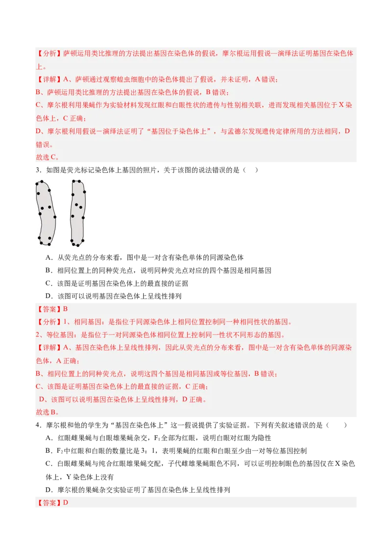 考点通关卷17伴性遗传和人类遗传病（解析版）_2025年新高考资料_一轮复习_2025年高考生物一轮复习考点通关卷（新高考通用）