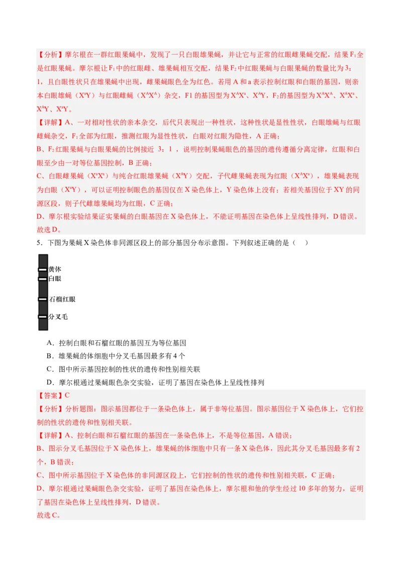 考点通关卷17伴性遗传和人类遗传病（解析版）_2025年新高考资料_一轮复习_2025年高考生物一轮复习考点通关卷（新高考通用）