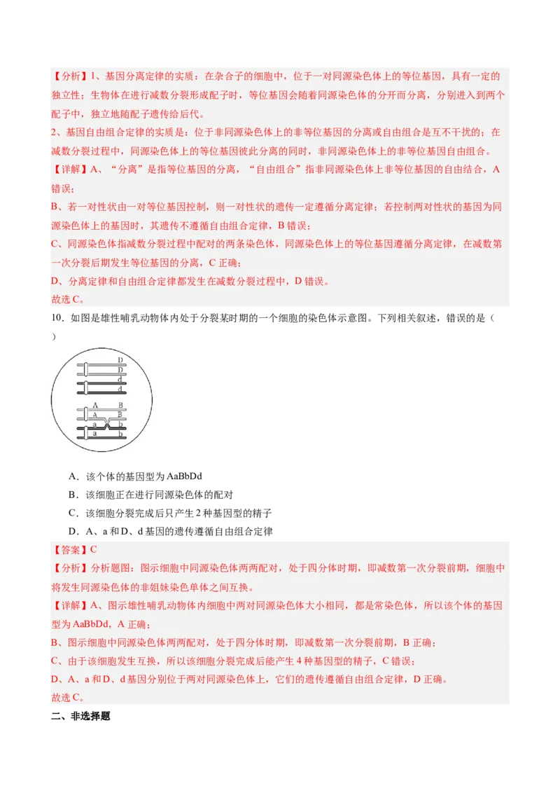 考点通关卷17伴性遗传和人类遗传病（解析版）_2025年新高考资料_一轮复习_2025年高考生物一轮复习考点通关卷（新高考通用）