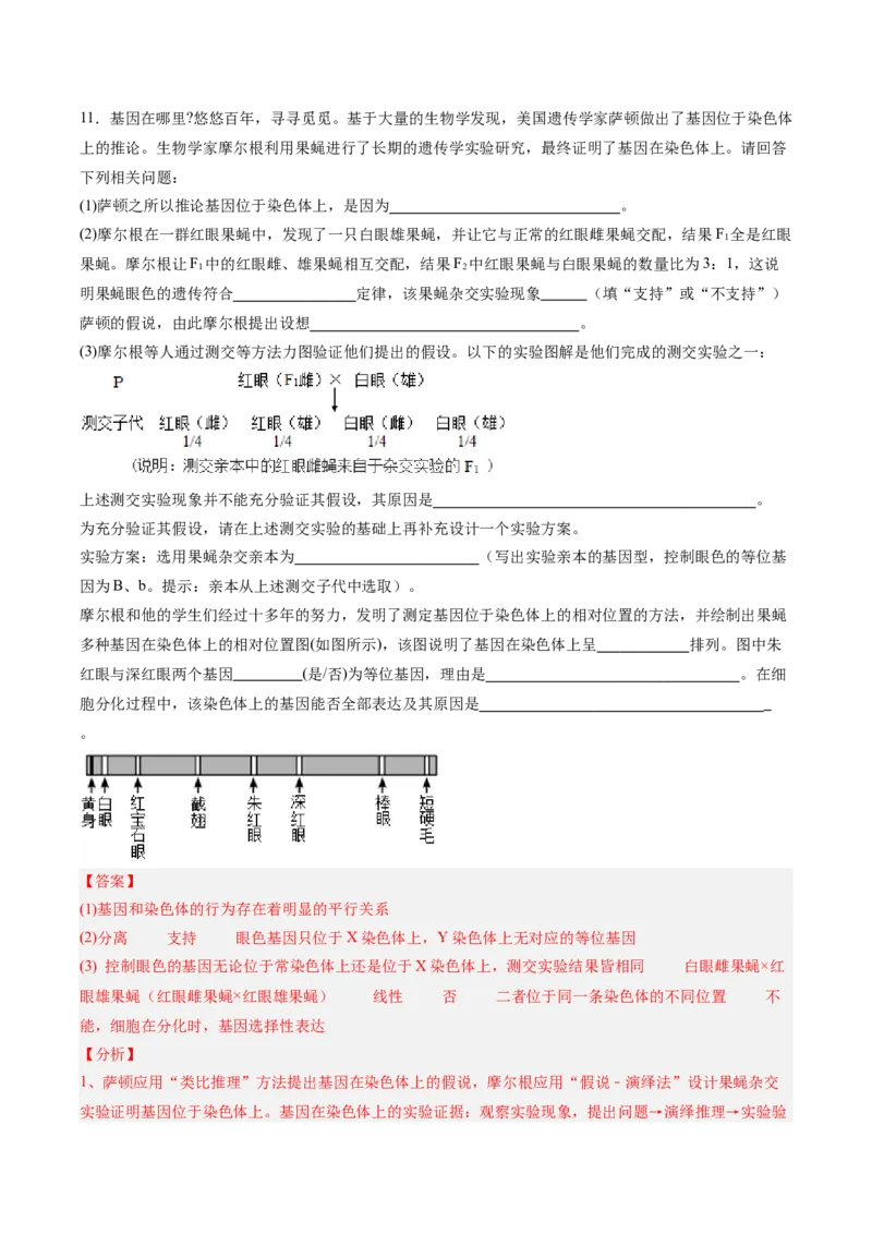 考点通关卷17伴性遗传和人类遗传病（解析版）_2025年新高考资料_一轮复习_2025年高考生物一轮复习考点通关卷（新高考通用）