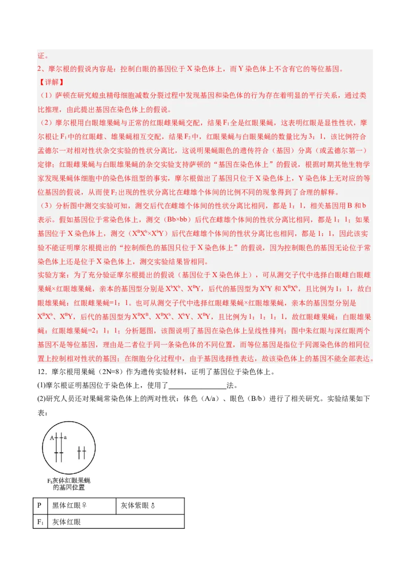 考点通关卷17伴性遗传和人类遗传病（解析版）_2025年新高考资料_一轮复习_2025年高考生物一轮复习考点通关卷（新高考通用）