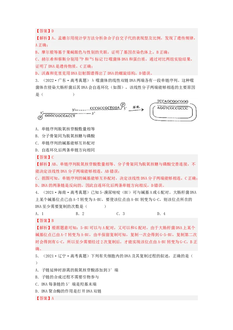 考点19DNA的分子结构、复制和基因本质（解析版）_通用版（老高考）复习资料_2023年复习资料_一轮复习_2023年高考生物一轮复习讲练测（全国通用）