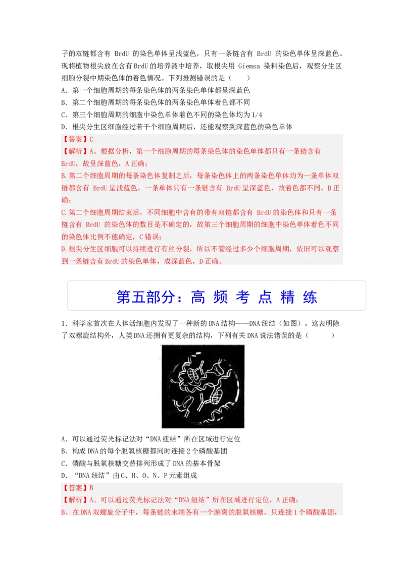 考点19DNA的分子结构、复制和基因本质（解析版）_通用版（老高考）复习资料_2023年复习资料_一轮复习_2023年高考生物一轮复习讲练测（全国通用）