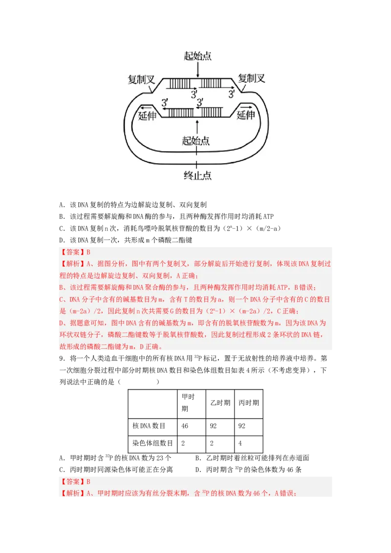 考点19DNA的分子结构、复制和基因本质（解析版）_通用版（老高考）复习资料_2023年复习资料_一轮复习_2023年高考生物一轮复习讲练测（全国通用）