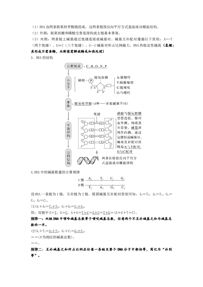 考点19DNA的分子结构、复制和基因本质（解析版）_通用版（老高考）复习资料_2023年复习资料_一轮复习_2023年高考生物一轮复习讲练测（全国通用）