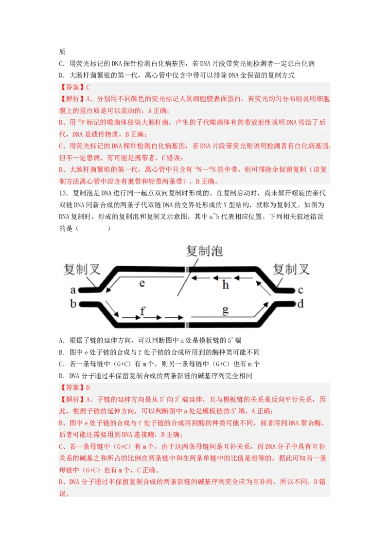 考点19DNA的分子结构、复制和基因本质（解析版）_通用版（老高考）复习资料_2023年复习资料_一轮复习_2023年高考生物一轮复习讲练测（全国通用）