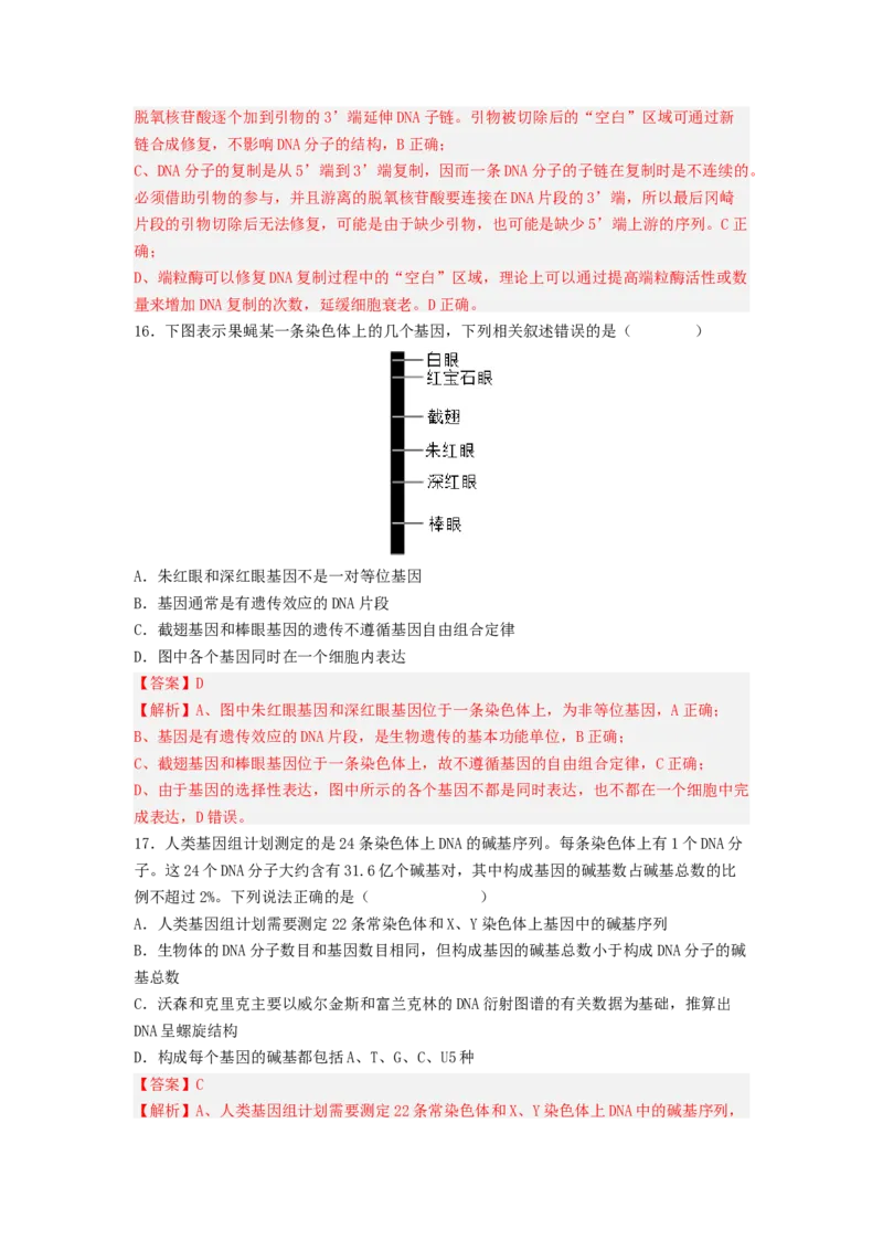 考点19DNA的分子结构、复制和基因本质（解析版）_通用版（老高考）复习资料_2023年复习资料_一轮复习_2023年高考生物一轮复习讲练测（全国通用）