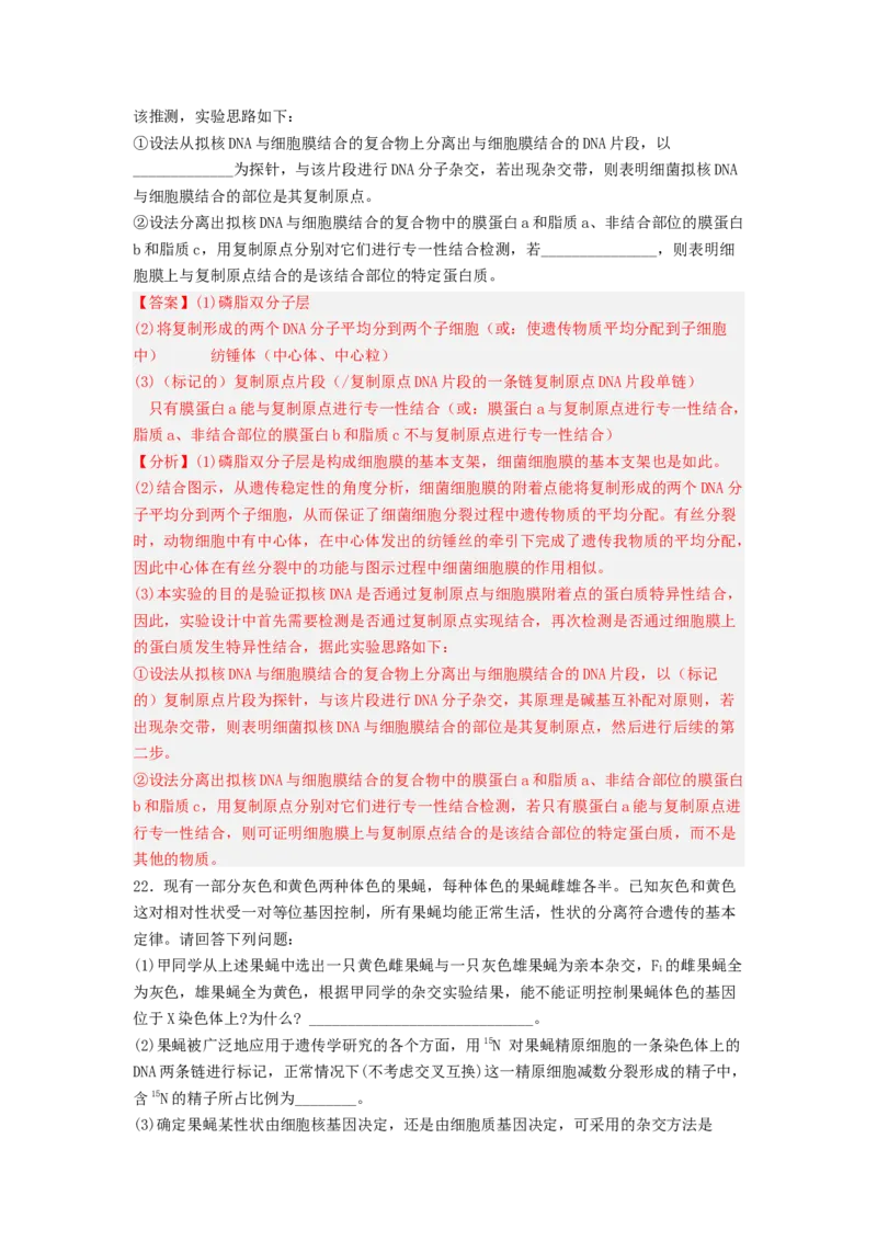 考点19DNA的分子结构、复制和基因本质（解析版）_通用版（老高考）复习资料_2023年复习资料_一轮复习_2023年高考生物一轮复习讲练测（全国通用）