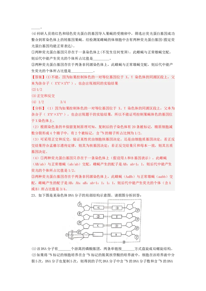 考点19DNA的分子结构、复制和基因本质（解析版）_通用版（老高考）复习资料_2023年复习资料_一轮复习_2023年高考生物一轮复习讲练测（全国通用）