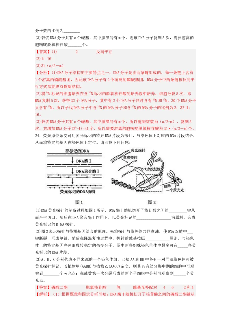 考点19DNA的分子结构、复制和基因本质（解析版）_通用版（老高考）复习资料_2023年复习资料_一轮复习_2023年高考生物一轮复习讲练测（全国通用）