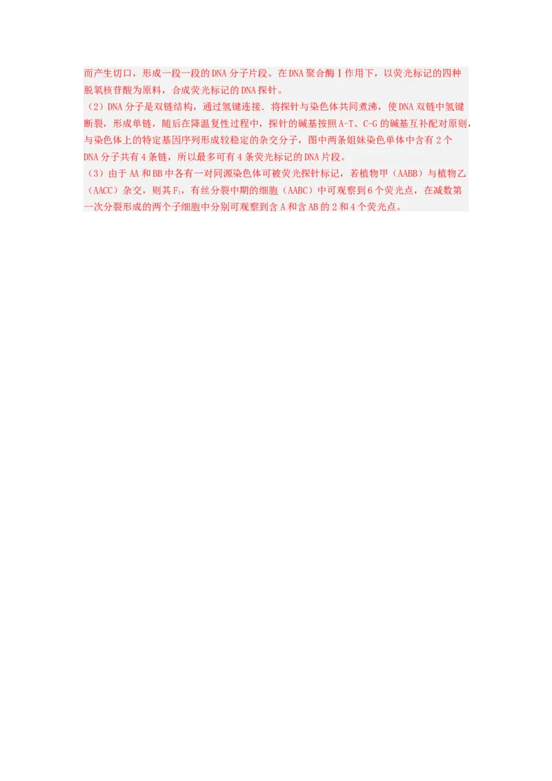 考点19DNA的分子结构、复制和基因本质（解析版）_通用版（老高考）复习资料_2023年复习资料_一轮复习_2023年高考生物一轮复习讲练测（全国通用）