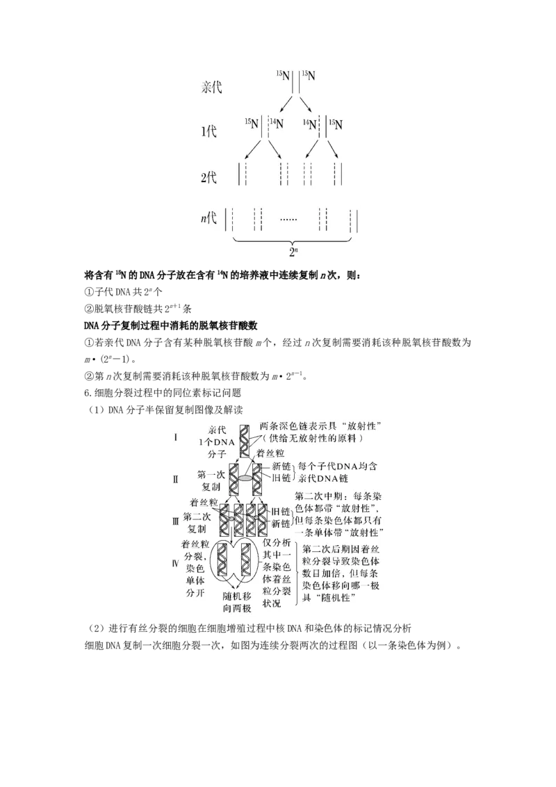 考点19DNA的分子结构、复制和基因本质（解析版）_通用版（老高考）复习资料_2023年复习资料_一轮复习_2023年高考生物一轮复习讲练测（全国通用）