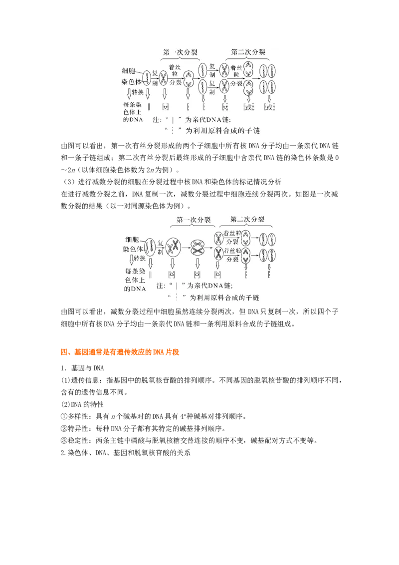 考点19DNA的分子结构、复制和基因本质（解析版）_通用版（老高考）复习资料_2023年复习资料_一轮复习_2023年高考生物一轮复习讲练测（全国通用）